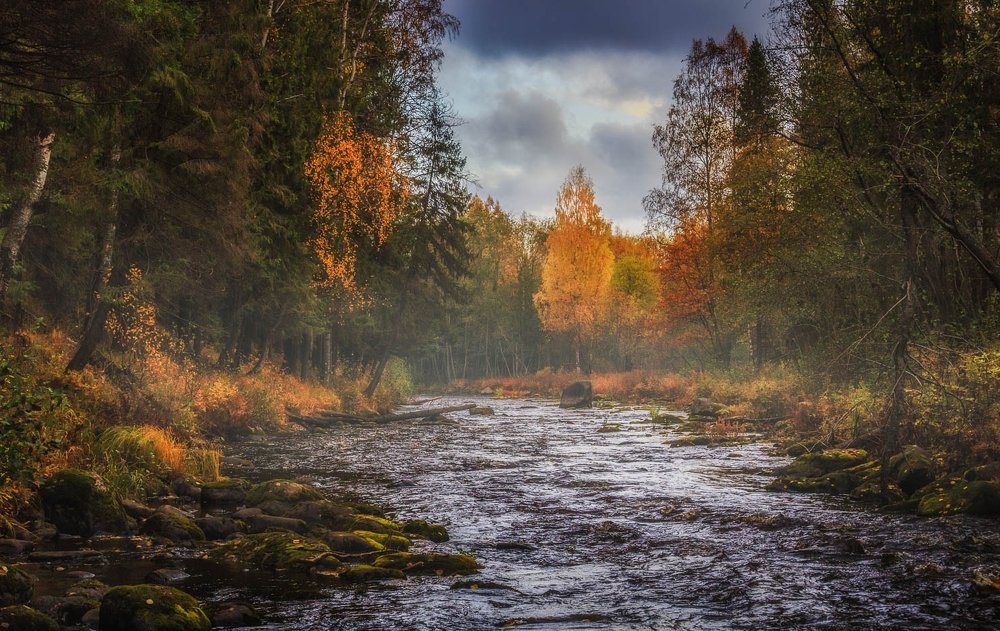 Photograph by Евгений Луцко