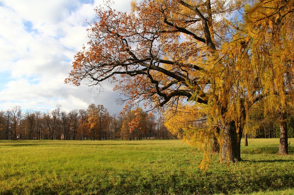Последние краски