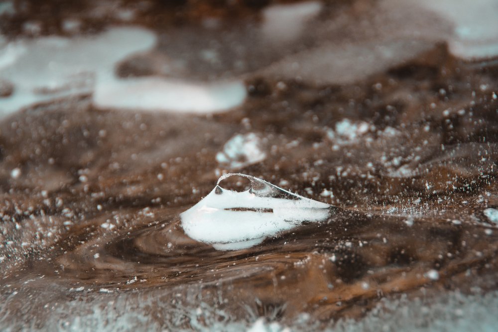 Photograph by Елена Копылова