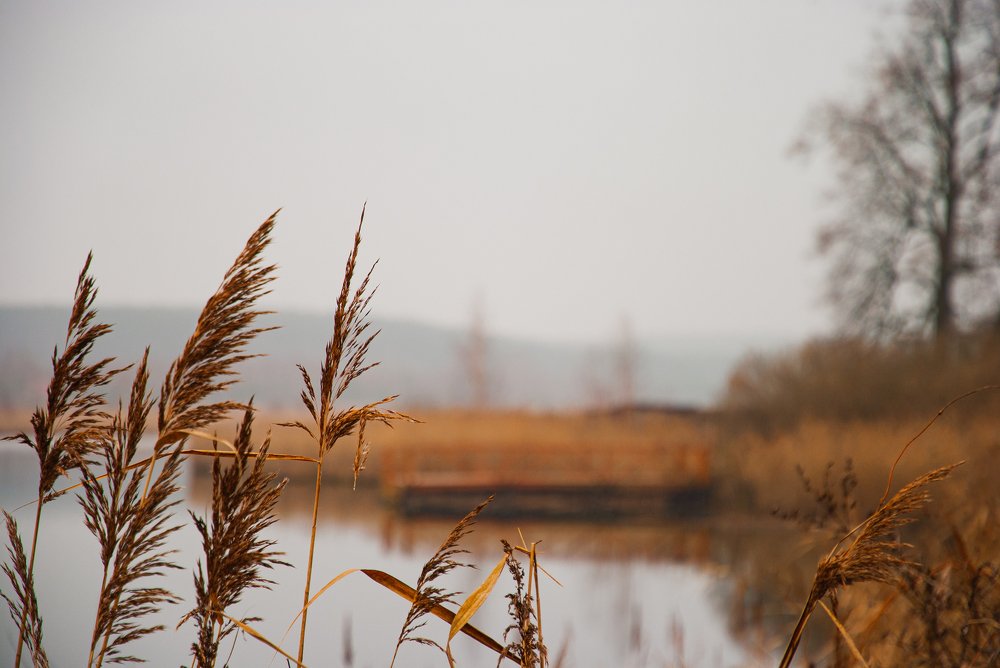 Photograph by Алексей Акулин