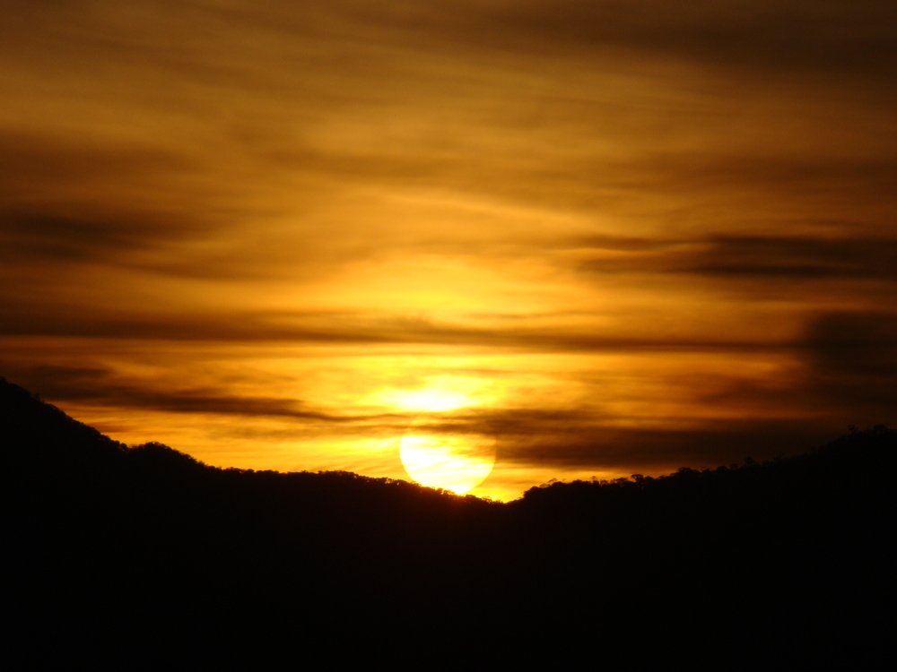 Фотография автора OSMIR ZANETTE