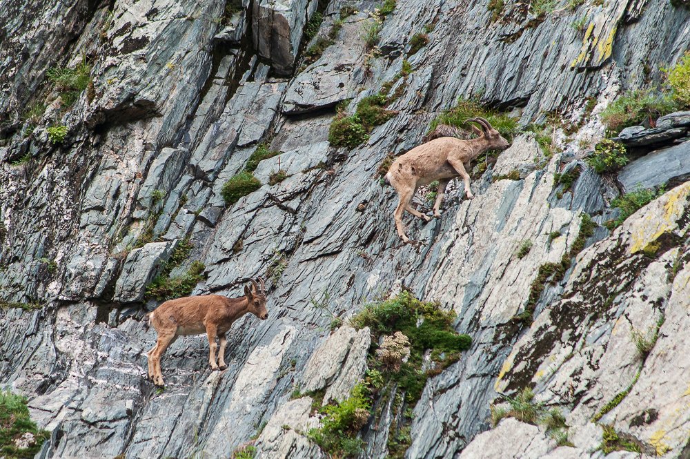 Photograph by Наталья Лобкова