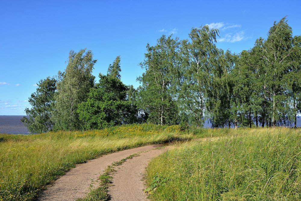 Photograph by Александр Калегин