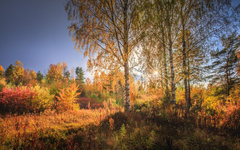 Photograph by Евгений Луцко