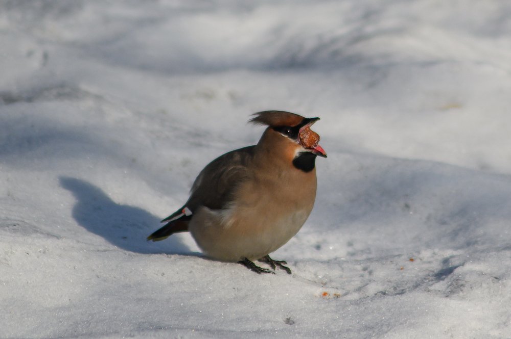 Photograph by Наталья Лобкова