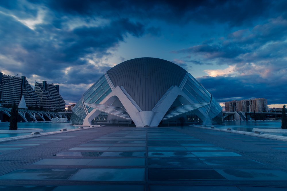 Жук в муравейнике.