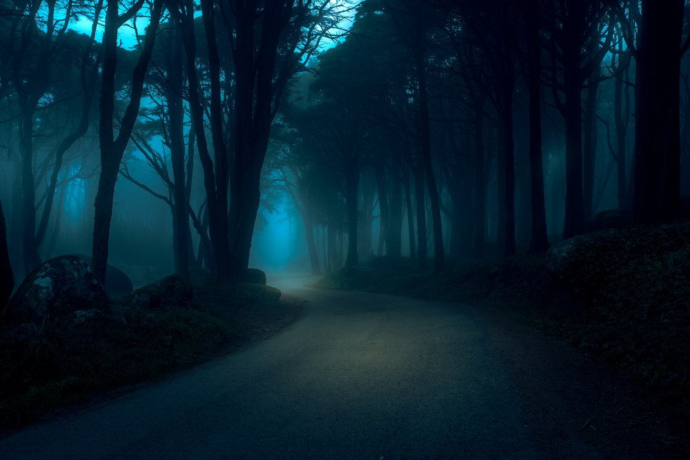 дорога в сказку