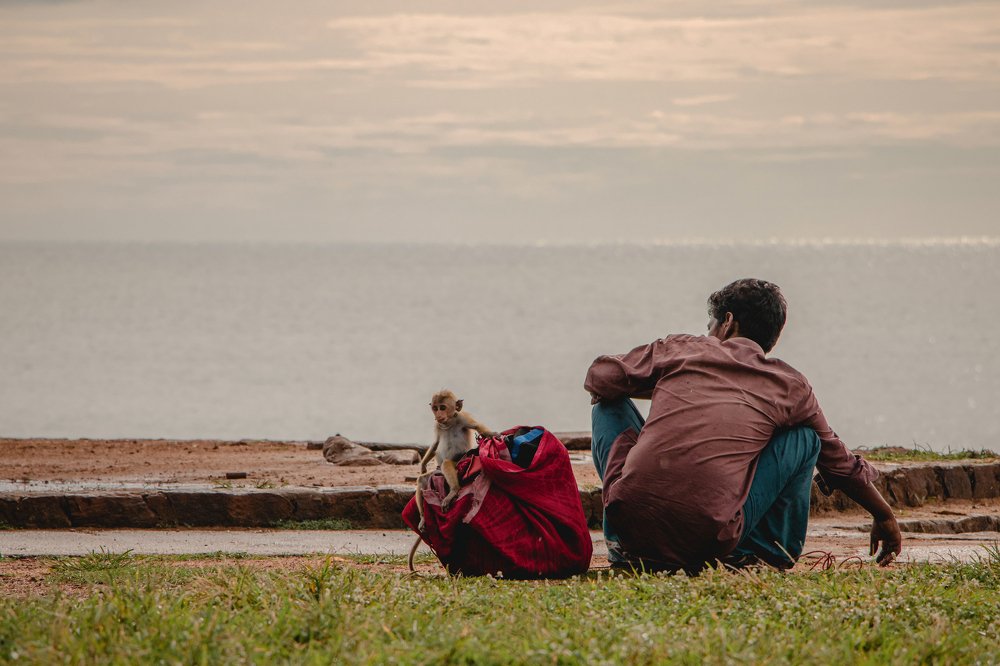 Photograph by Nilupul Maleesha