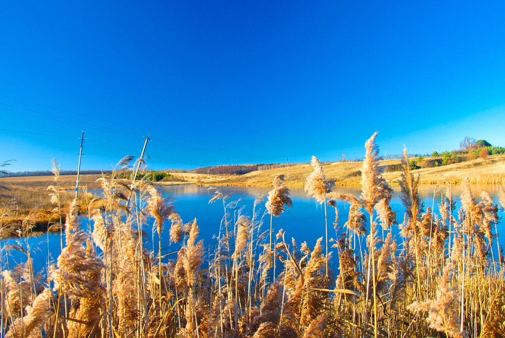 Photograph by Алексей Акулин