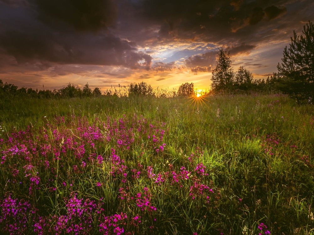 Photograph by Евгений Луцко