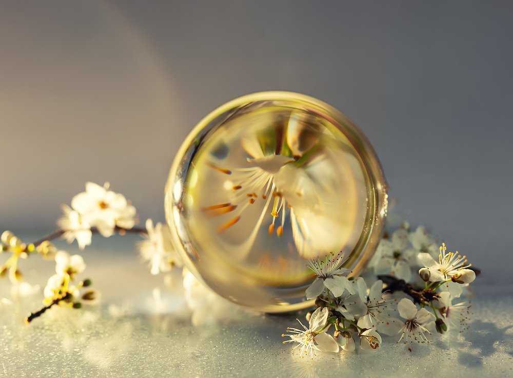 Photograph by Galina Samoylovich