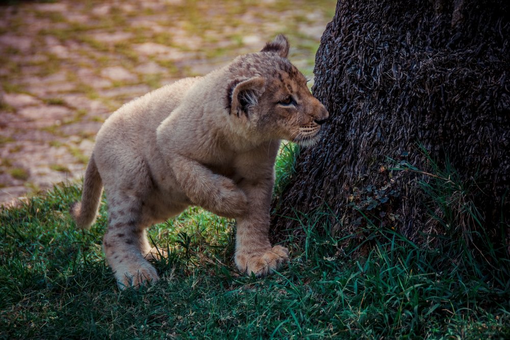 Photograph by Елена Копылова