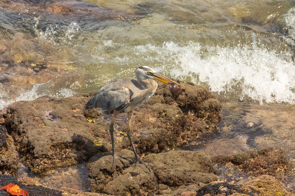 Photograph by Власов Егор