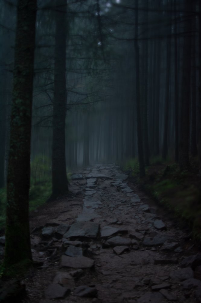 Photograph by Mariusz Kusy