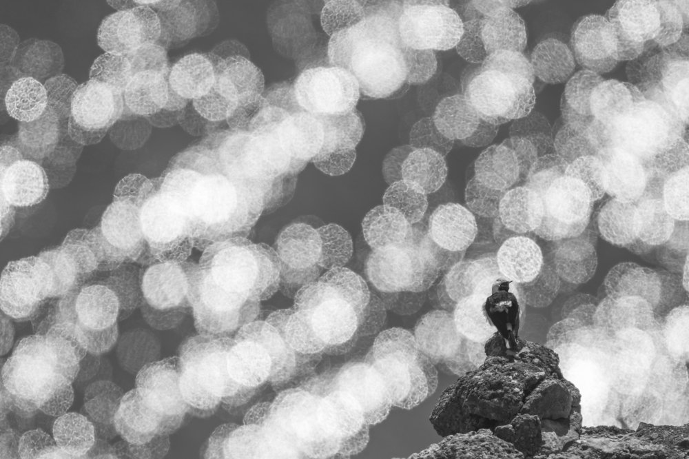 Photograph by Борис Белчев