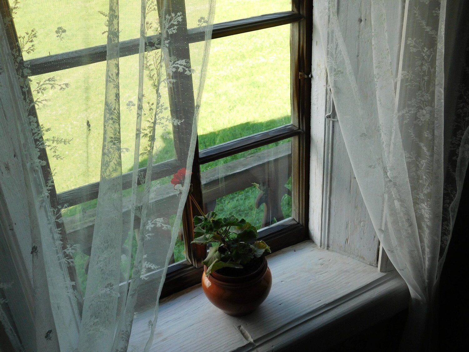 Photo #4428194