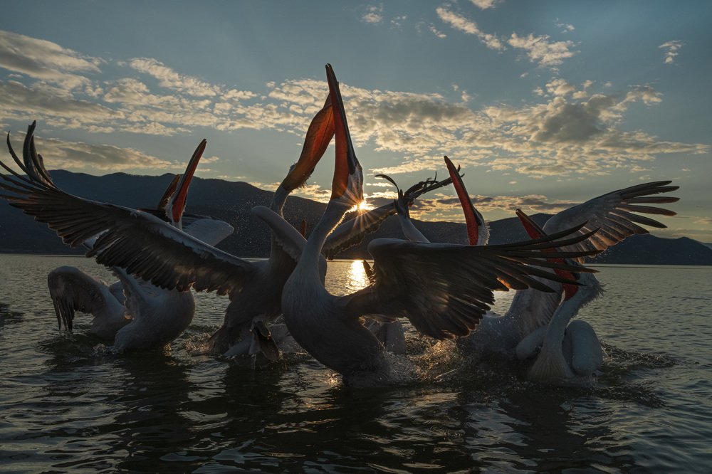 When the sun goes down