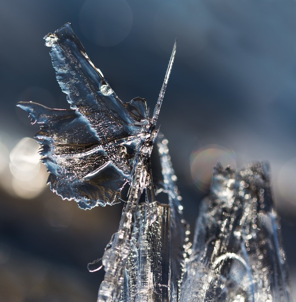 Победитель