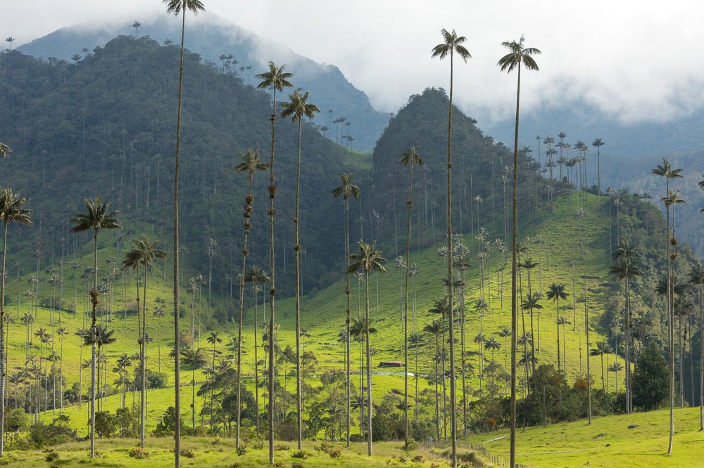 Photograph by Власов Егор
