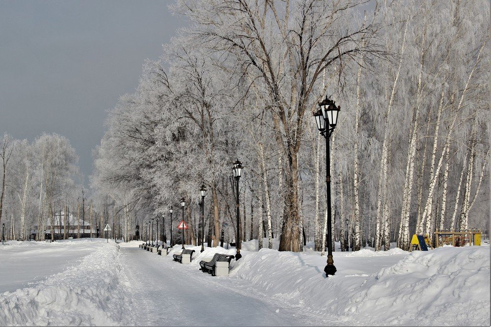 Photograph by венера