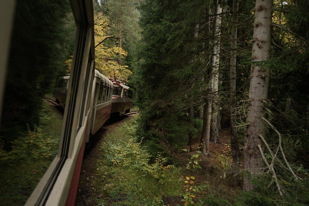 Photograph by Ольга Стеблянко