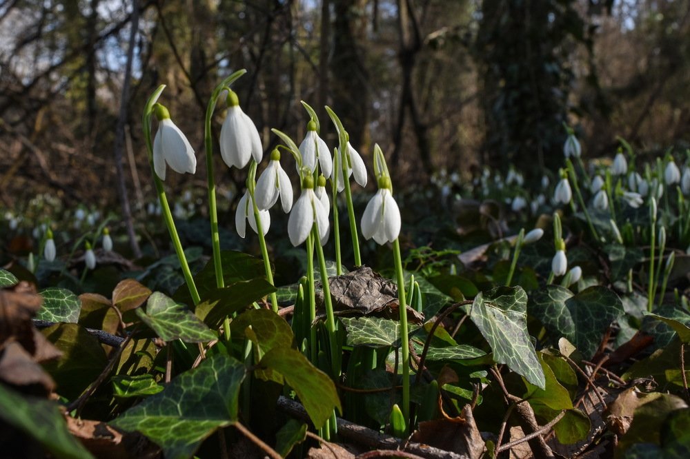 Photograph by Игорь Кузьмин