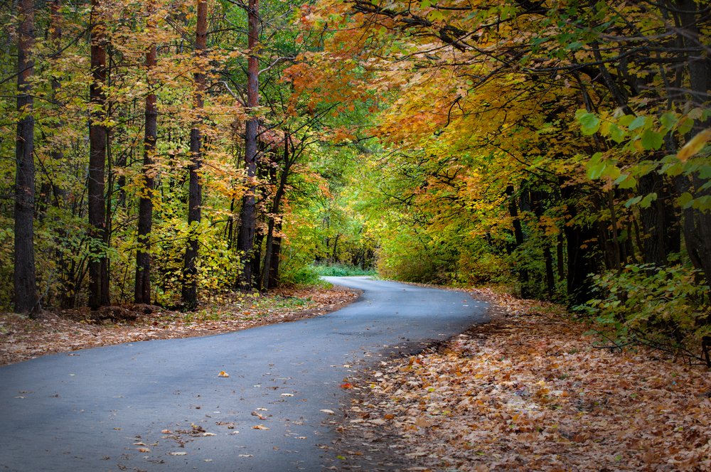 Photograph by Юрий Сретенский