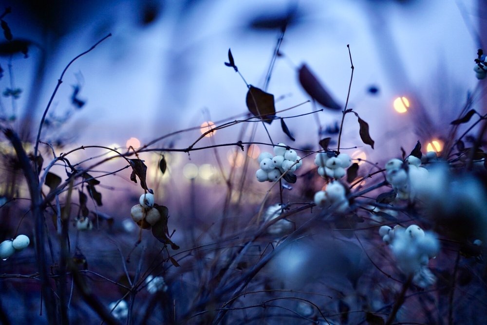 Photograph by Ольга Олейник