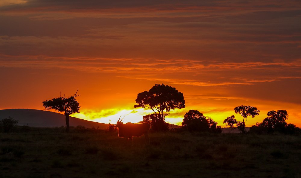 Photograph by ANJANA CHHABRA