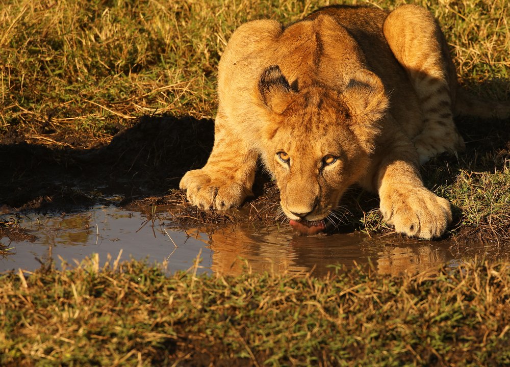 Photograph by ANJANA CHHABRA