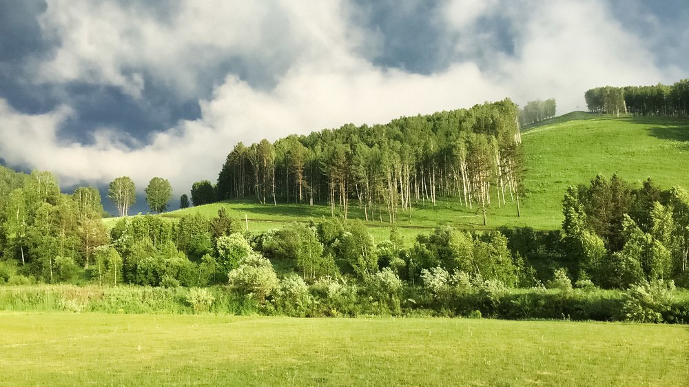 Колыбель жизни, Алтай.