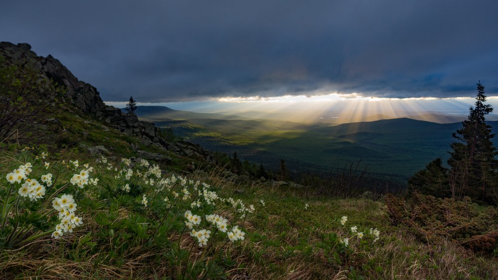 Рассвет новой весны