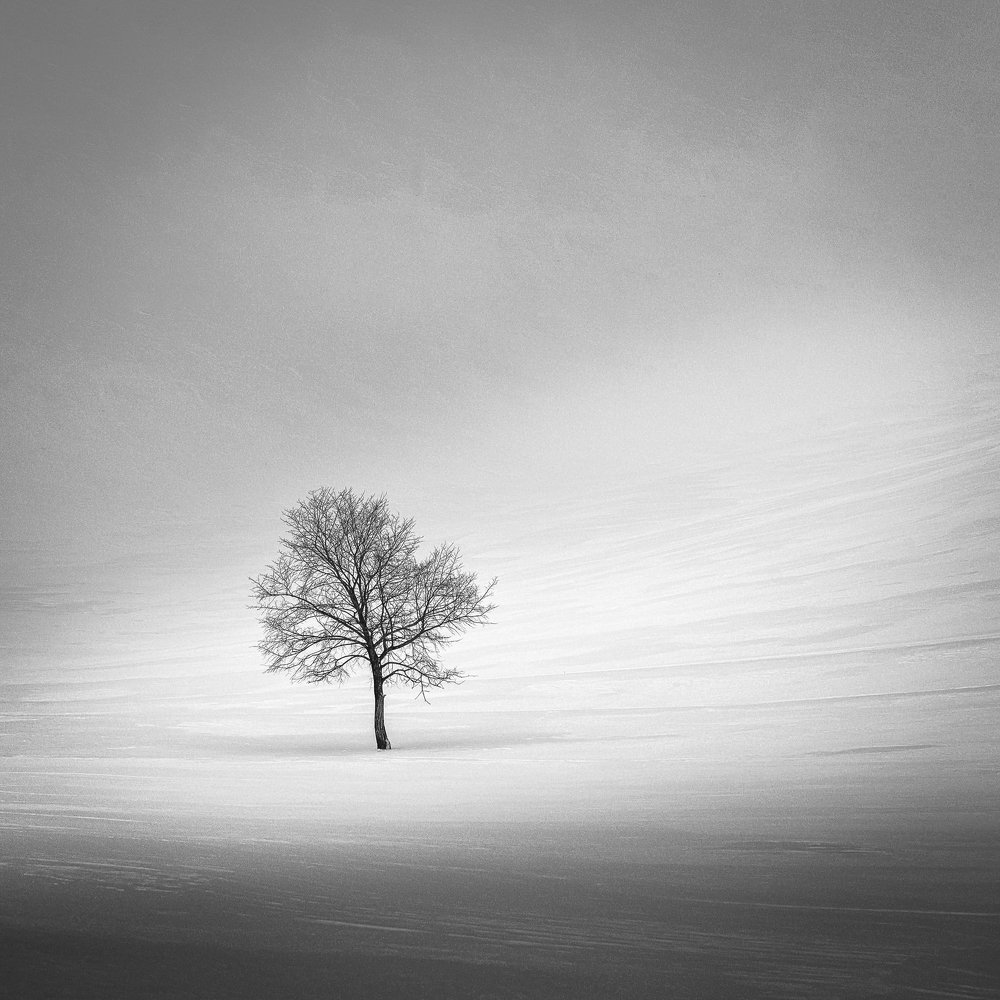 Фотография автора Евгений