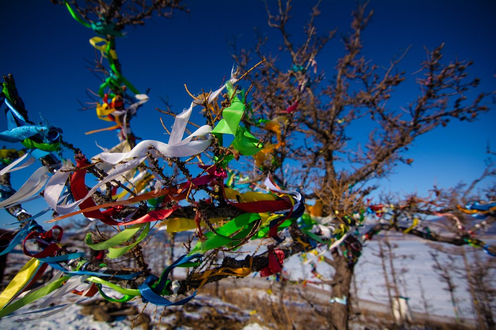 Photograph by Елена Копылова