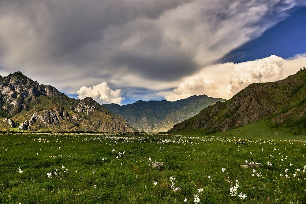 Photograph by Владимир Малевич