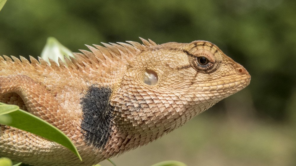 Фотография автора Виталий Медведь