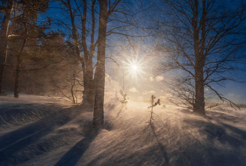 Photograph by Евгений Луцко