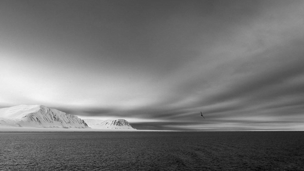 Photograph by Роман Штейнбрехер