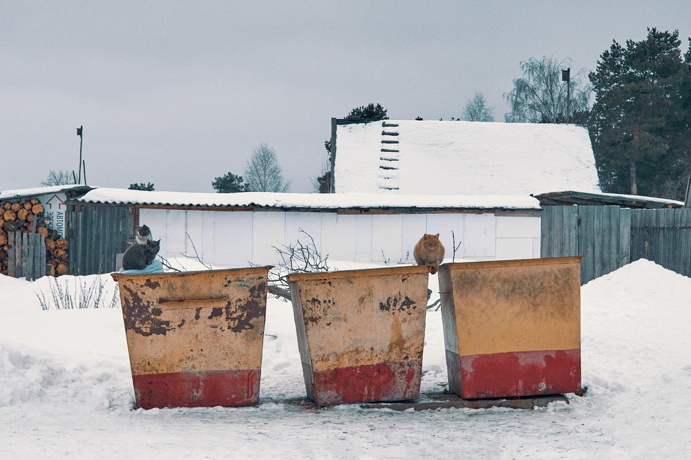 3 tanks on the border of the village