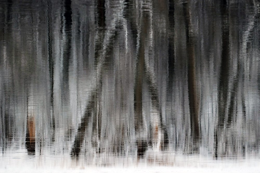 Фотография автора senjor