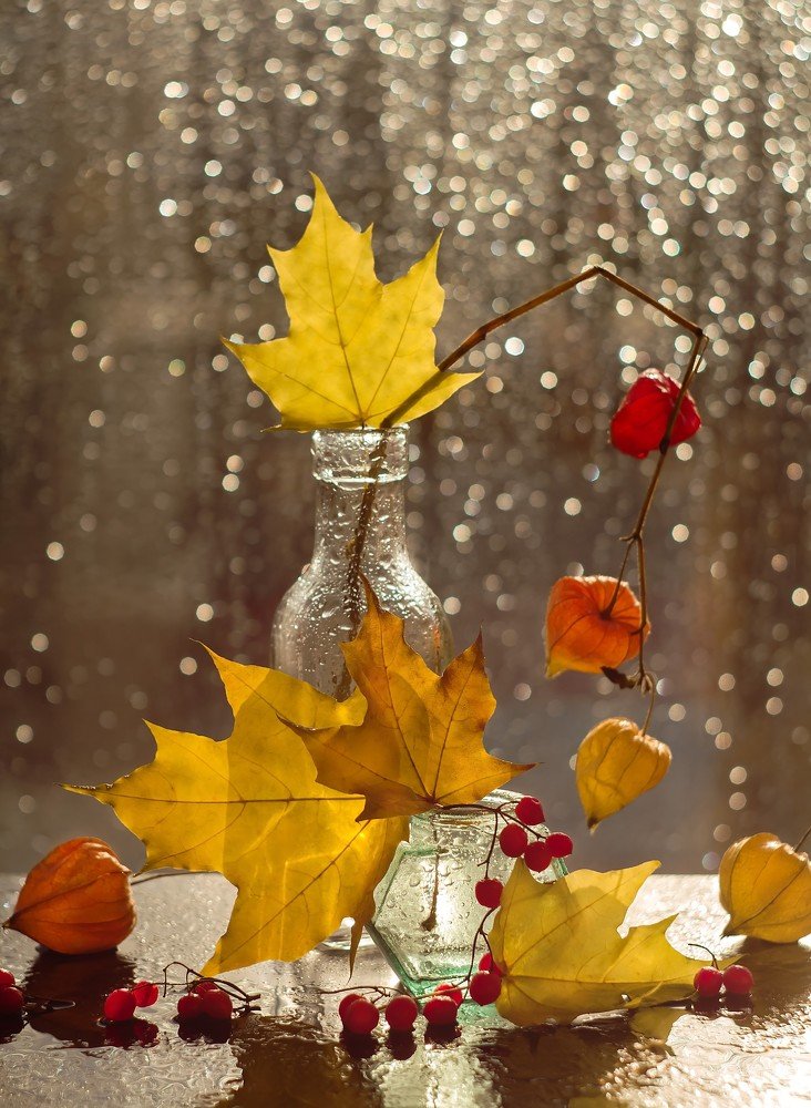 Photograph by Юлия Яремко