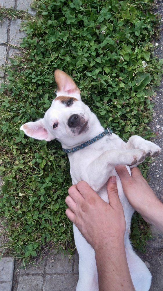 Photograph by Игорь Непомнящий