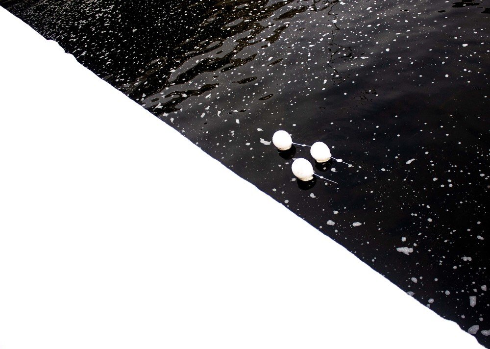 Photograph by Алексей Сыров