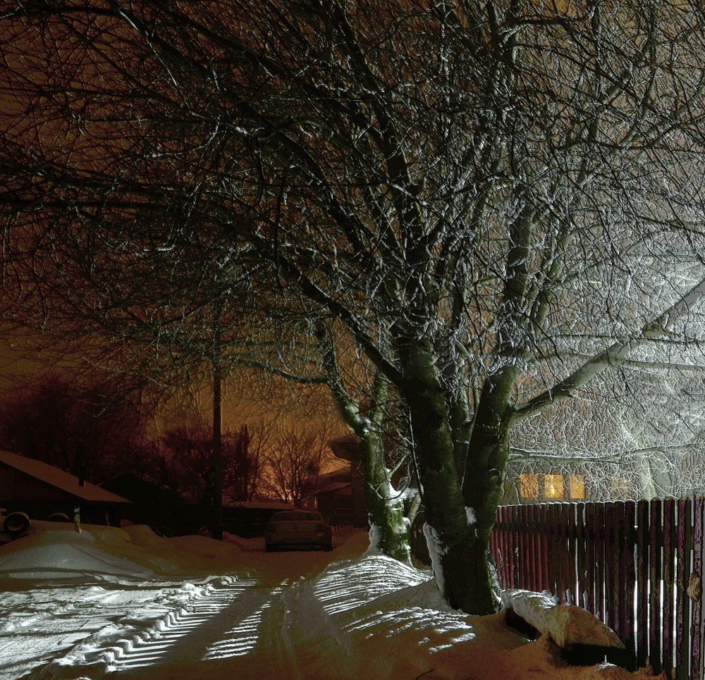 Photograph by Соколова Елена