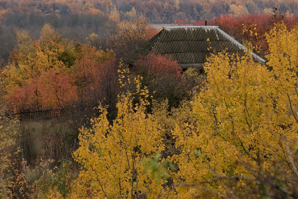 Все краски осени