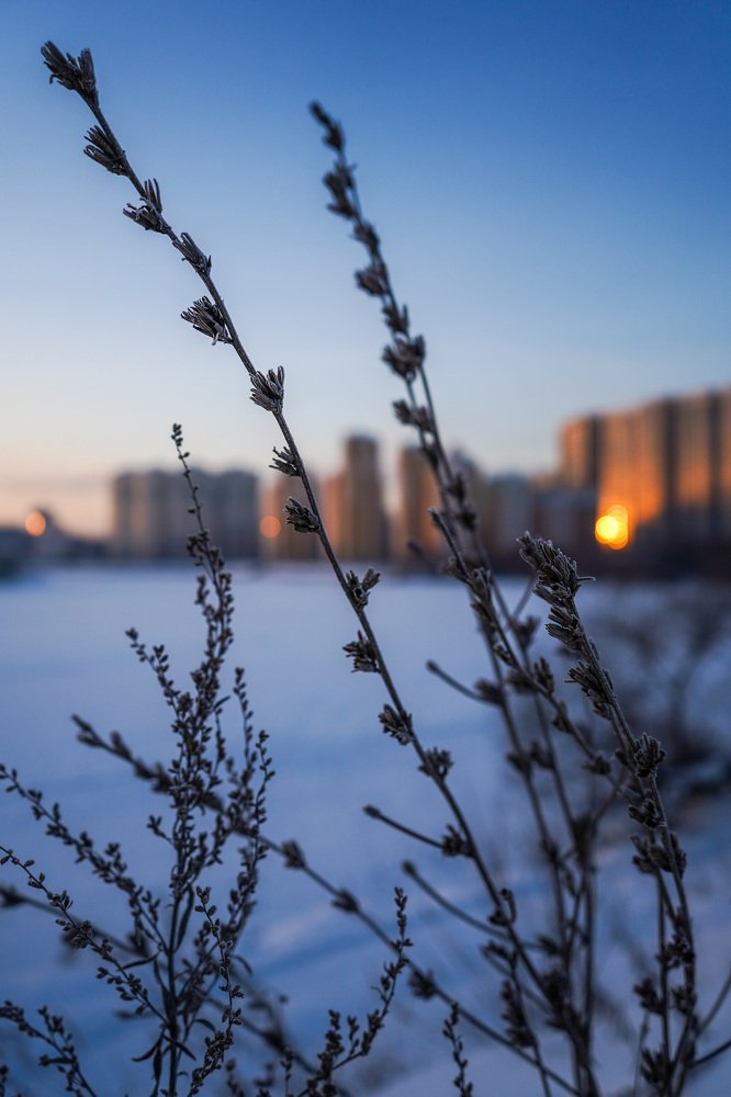 Photograph by Ольга Олейник