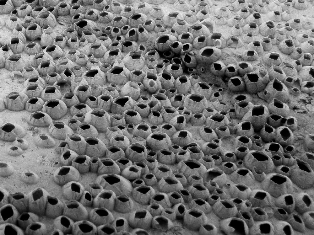 Photograph by kimiya Rastgou Moghadam