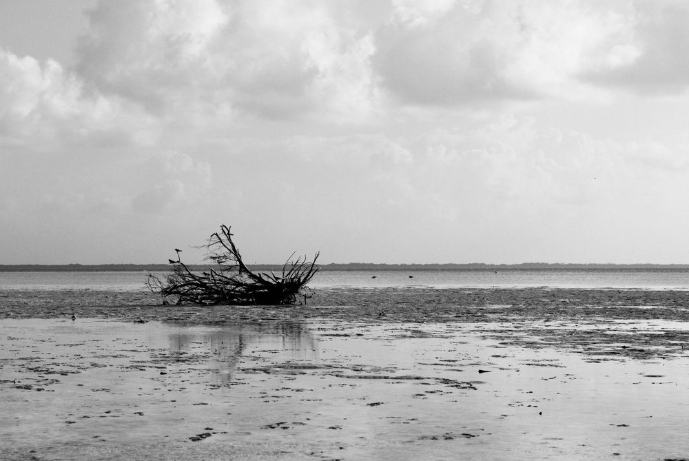 Photograph by Betiana Quintero