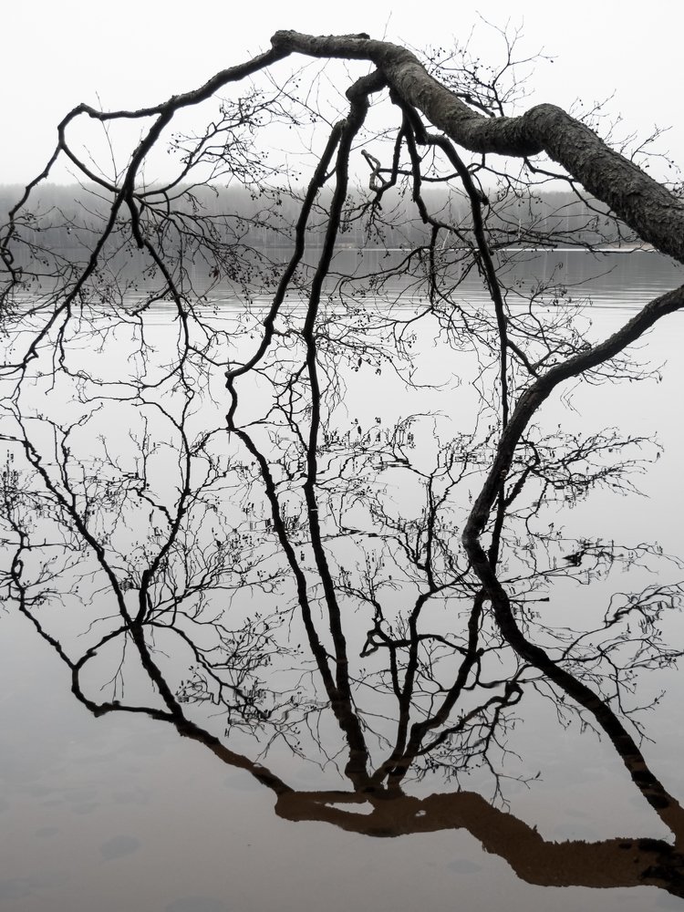 Photograph by Tatiana Zolotareva