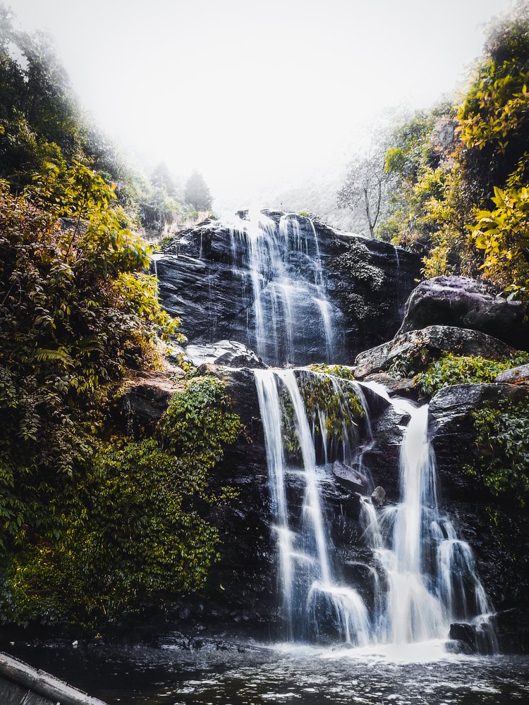 Photograph by Saswata Mukherjee